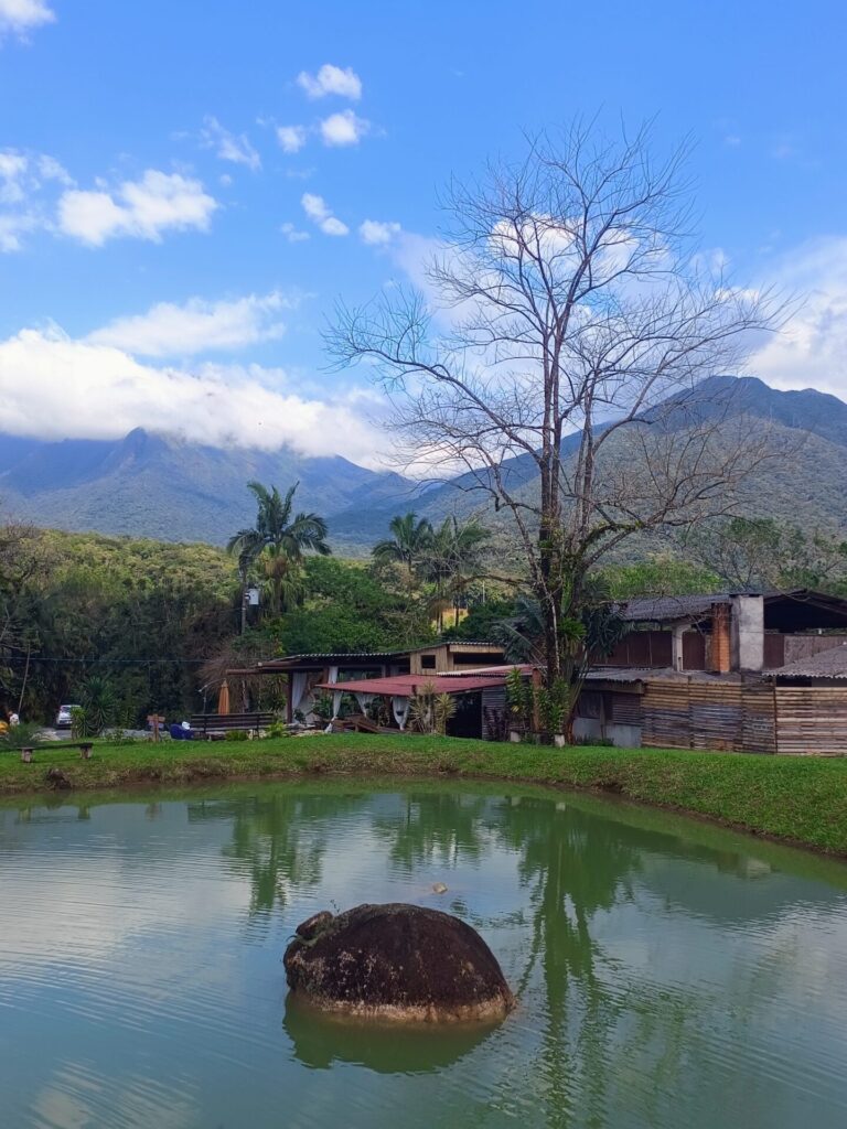 IMG_20251004_095826970_MP_AE