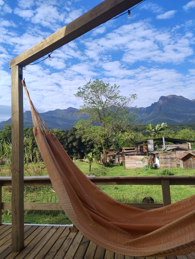 IMG_20251107_074700966